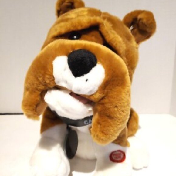 ghf - Picture 8 of 16